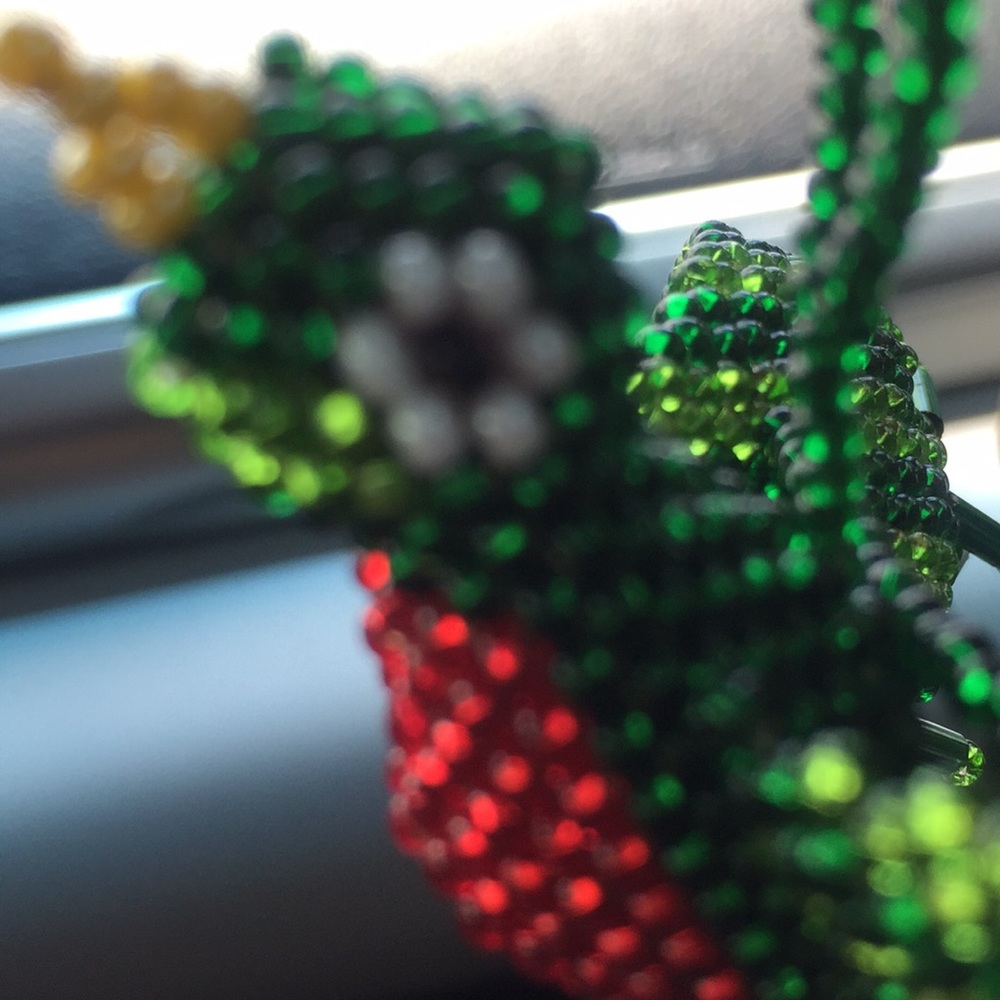 Meet your Posher, Mayra